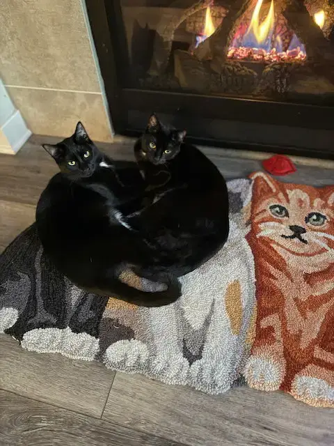 Mercy & Roxy photo 3