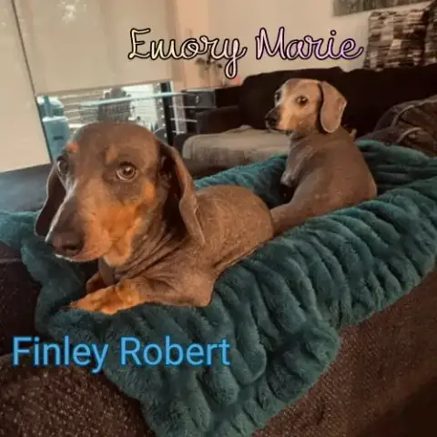 Finley Robert+ photo 2