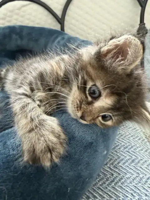 Jackie