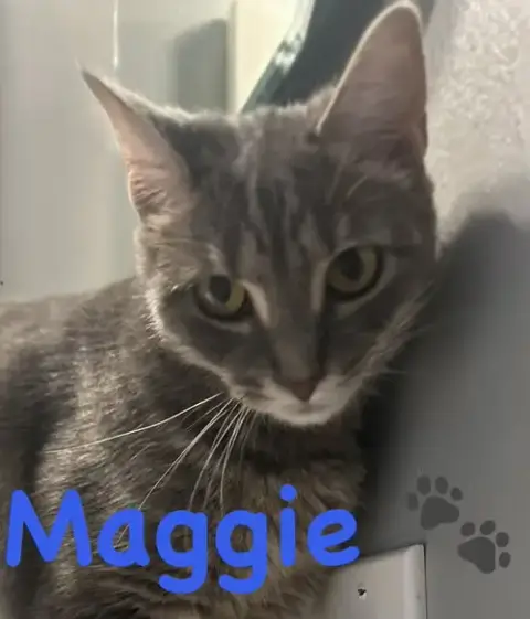 Maggie