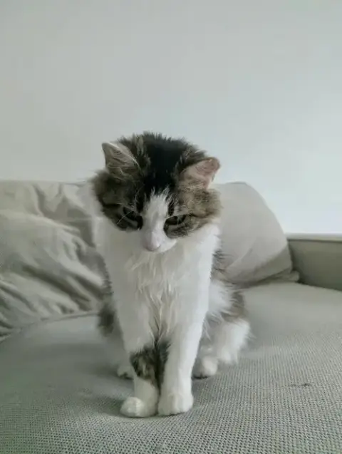 Dora photo 2