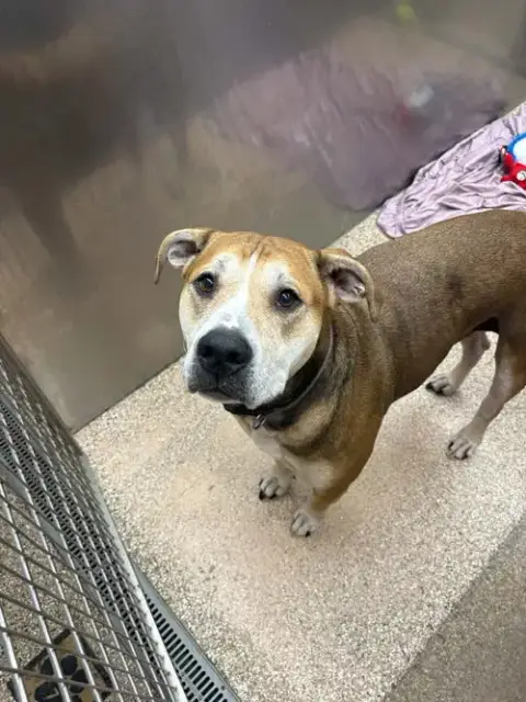 Max