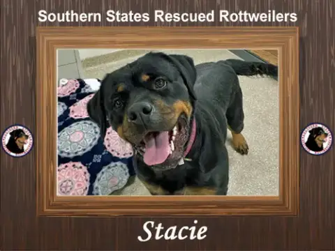 Stacie