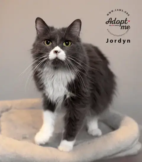 Jordyn