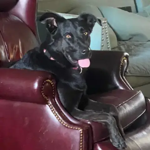 Cora photo 3