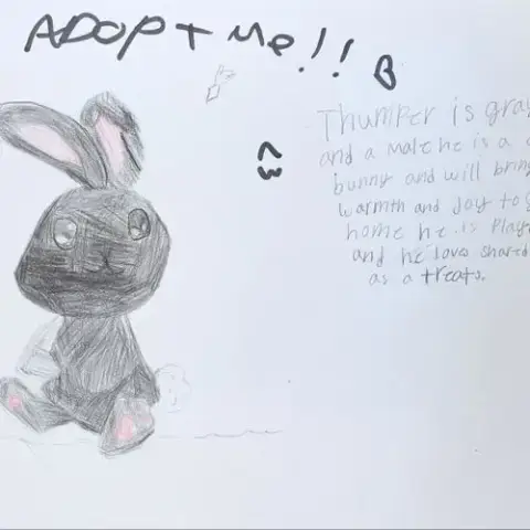 Thumper photo 5