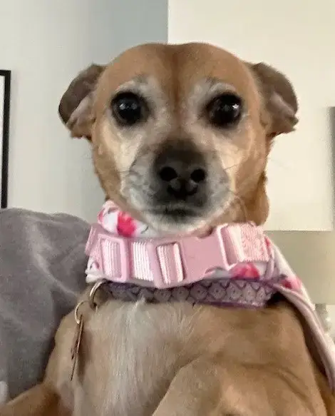 Lily Nason Nj photo 5
