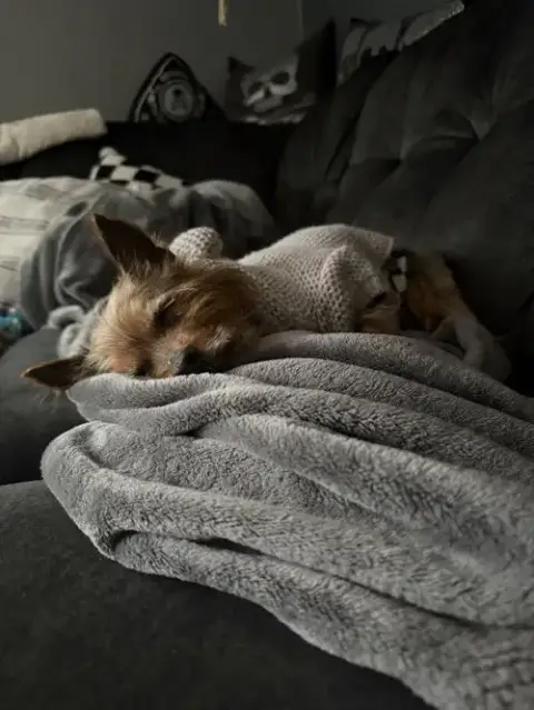 Ripley photo 5