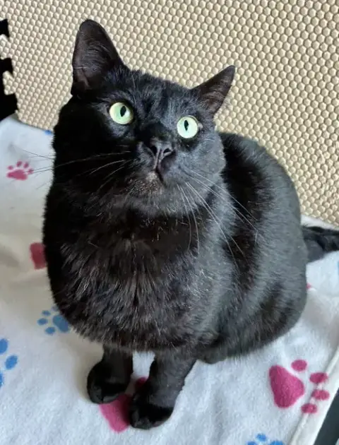 Esteban