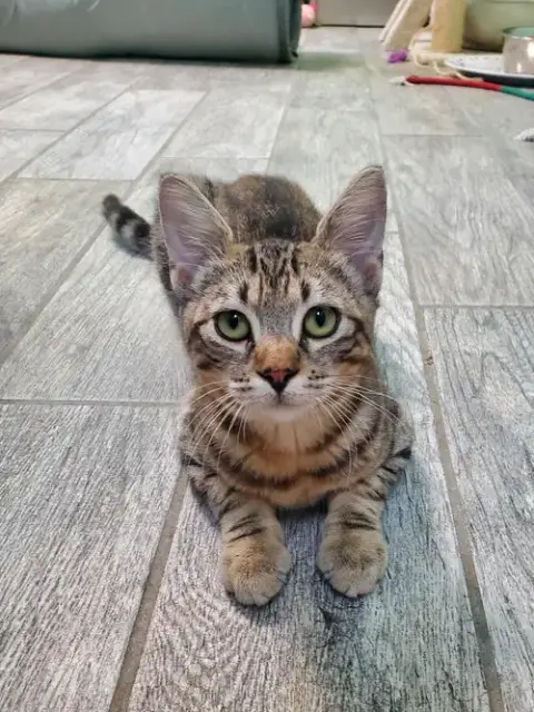 Buddy photo 2