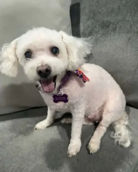 Matilda