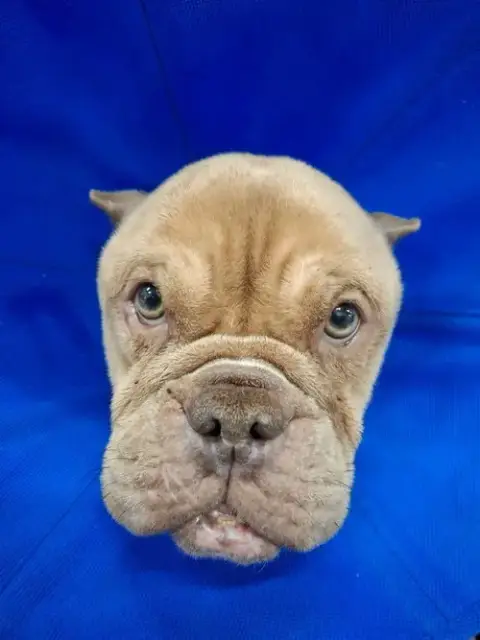 Betty photo 2