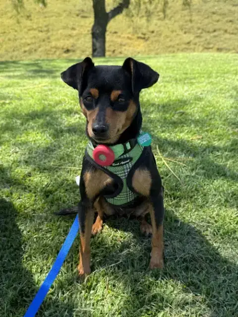 Phoebe Aka Twixx