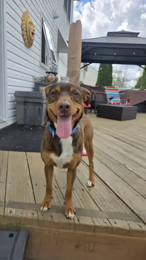 Penny Scas photo 4