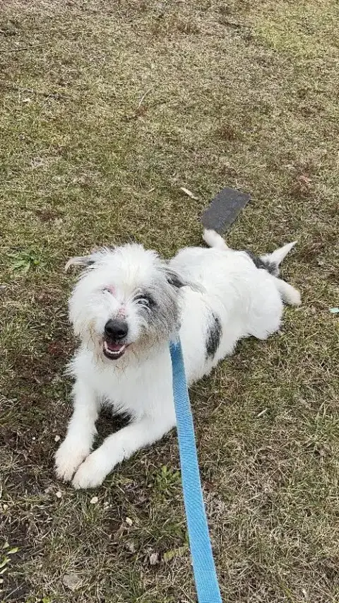 Loki photo 2