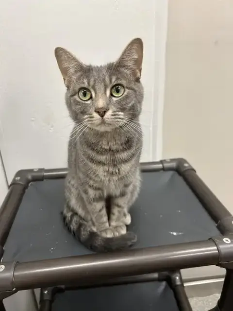 Ellie