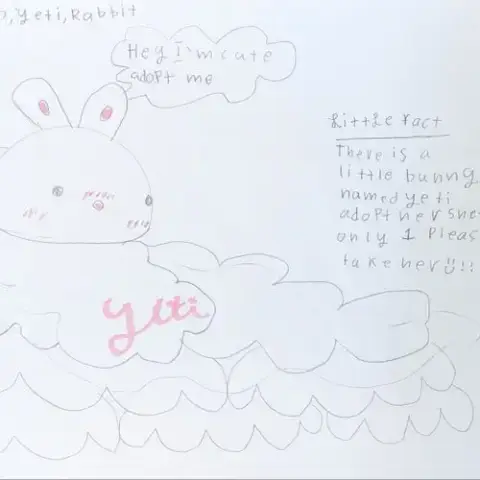 Yeti photo 3