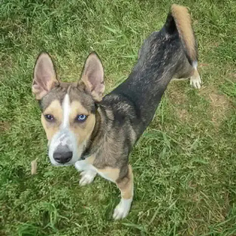 Marley photo 3
