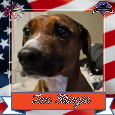 Jax Kringle
