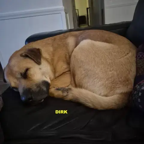 Dirk photo 4