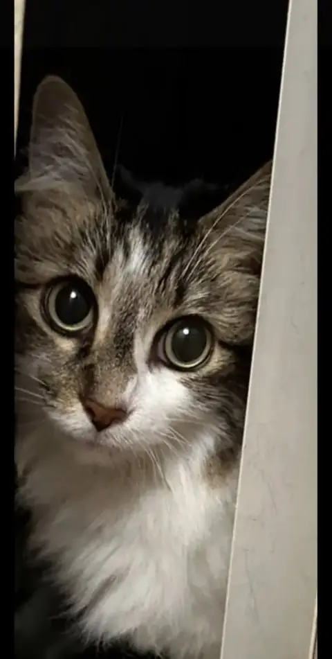Darla
