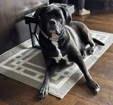 Millie