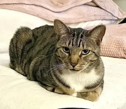 Charlie photo 2