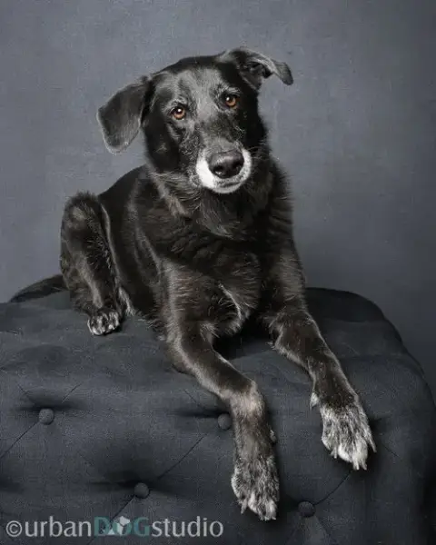Ursa photo 2