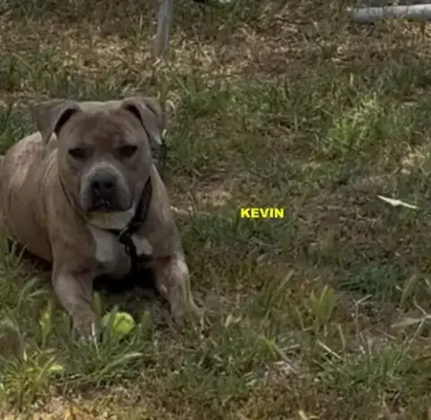 Kevin photo 5