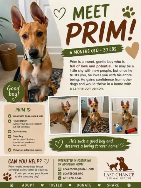 Prim