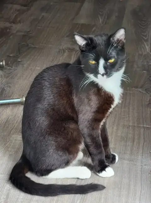 Pepper photo 2