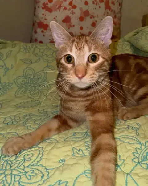 Chuck photo 3