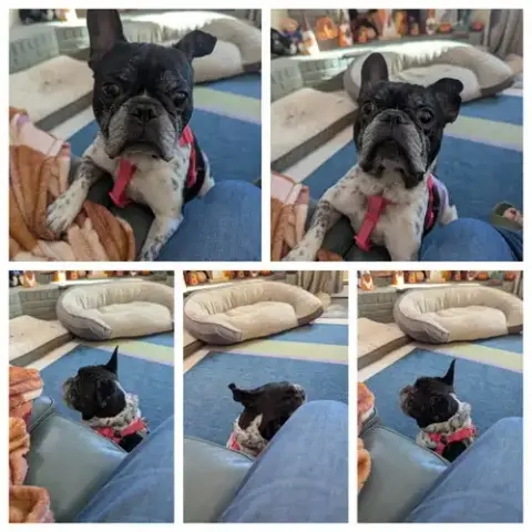 Chester