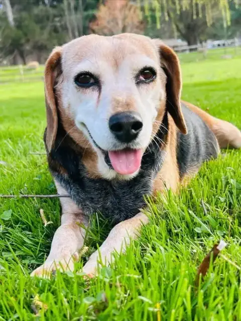 Bonnie