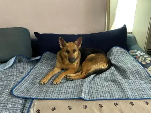 Molly photo 2