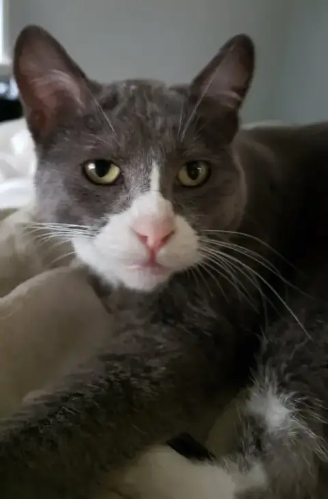 Eleanor photo 5