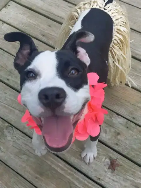 Lilith Aka Lily photo 4