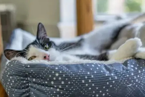 Dottie photo 2