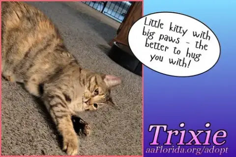 Trixie photo 5
