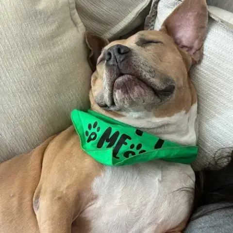 Baker