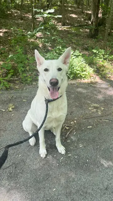 Luna photo 4