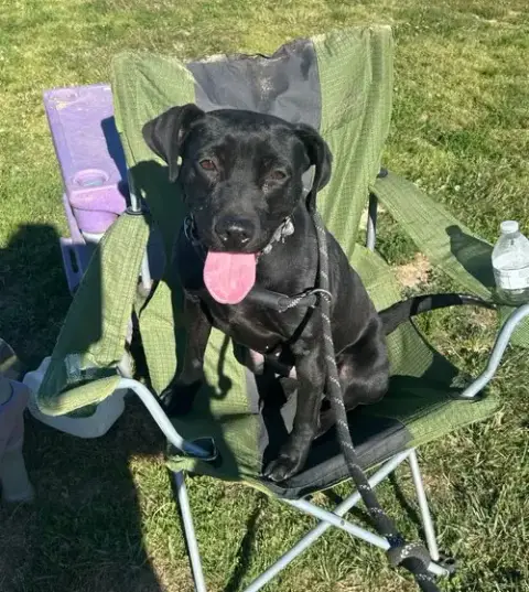 Holly photo 2