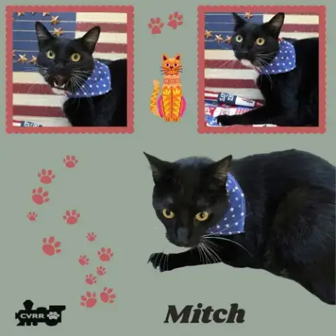 Mitch