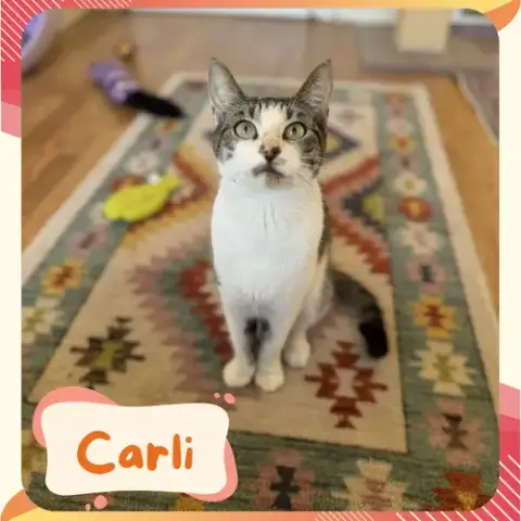 Carlie photo 5