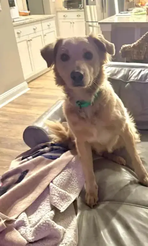 Hurley