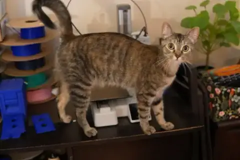 Thelma photo 3