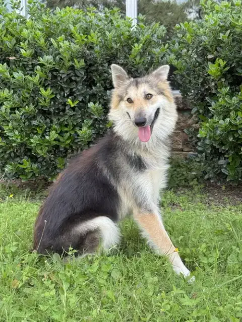 Callie photo 3