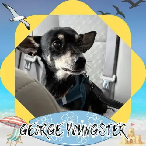 George Youngster