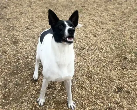 Sandy photo 4