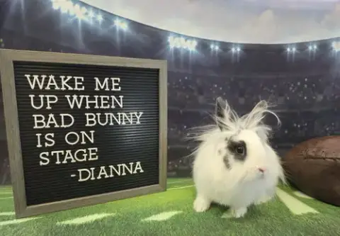 Dianna photo 2